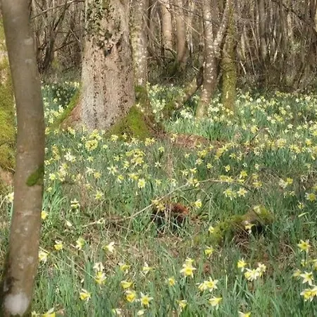 La Loge Diane, A Deux Pas Du Chateau Et Son Jardin A La Francaise *
