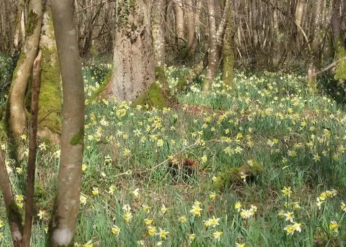 La Loge Diane, A Deux Pas Du Chateau Et Son Jardin A La Francaise *